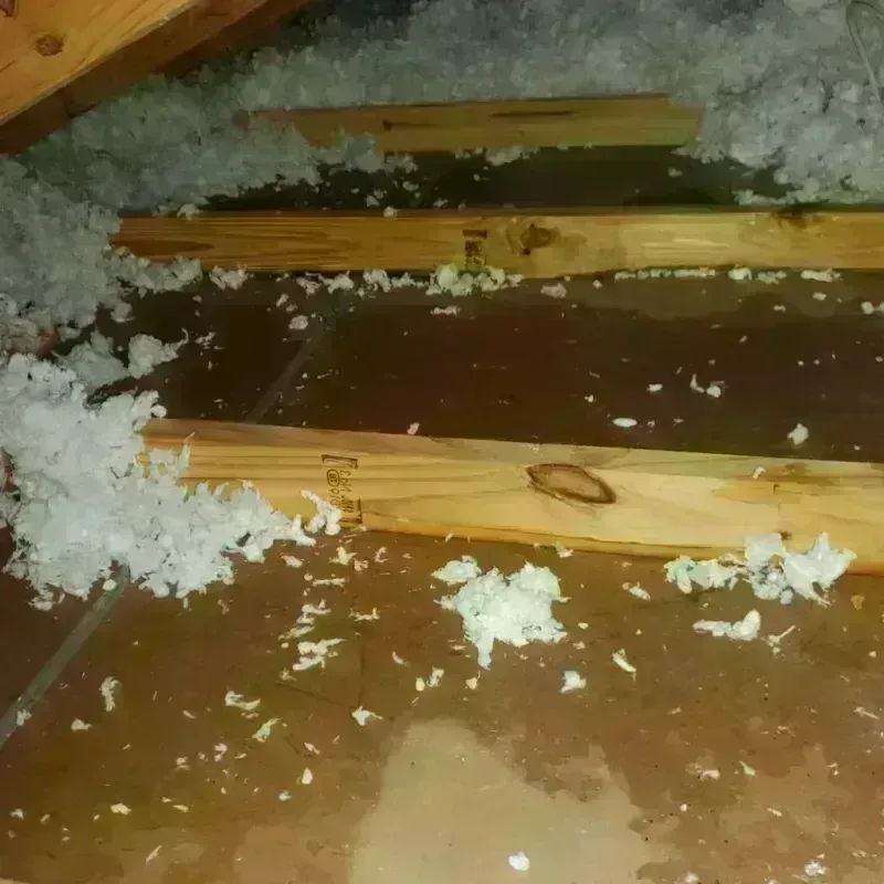 Attic Water Damage in Oakwood, NY